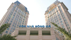 Tổng Công ty Sông Đà chuẩn bị chi gần 450 tỷ đồng cổ tức 2024