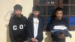 Đi du lịch, 2 cô gái bị xâm hại và bị tống tiền ở Tam Đảo