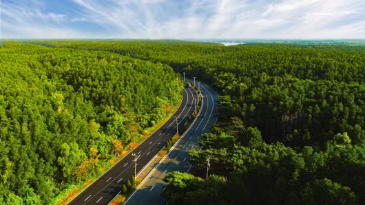 “Phép màu hạ tầng” phía sau các thủ phủ giải trí toàn cầu và cơ hội thế kỷ