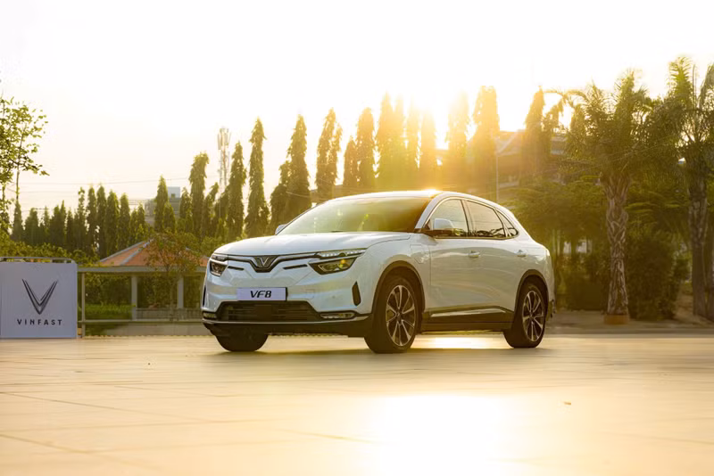 a1-1.jpg