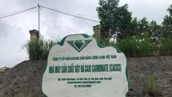 Một công ty bị xử phạt 320 triệu đồng do vi phạm môi trường