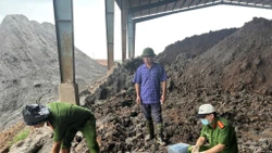 Gây ô nhiễm, giám đốc Công ty Tân Thuận Phong ở Hải Phòng bị bắt