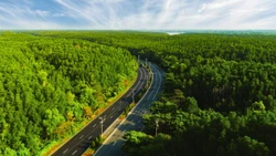 VnExpress Marathon Green Paradise Cần Giờ có đường chạy xanh nhất trong hệ thống VnExpress Marathon