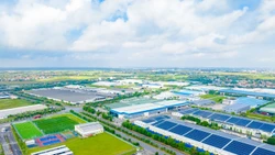 IMC đồng hành cùng doanh nghiệp nâng cao năng lực quản trị và tuân thủ thuế