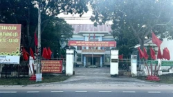  Chuyển điều tra nếu vi phạm pháp luật vụ cưa cây đem bán