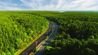 VnExpress Marathon Green Paradise Cần Giờ có đường chạy xanh nhất trong hệ thống VnExpress Marathon