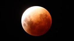 Cận cảnh ‘siêu Trăng máu’ khiến nhiều người háo hức chiêm ngưỡng